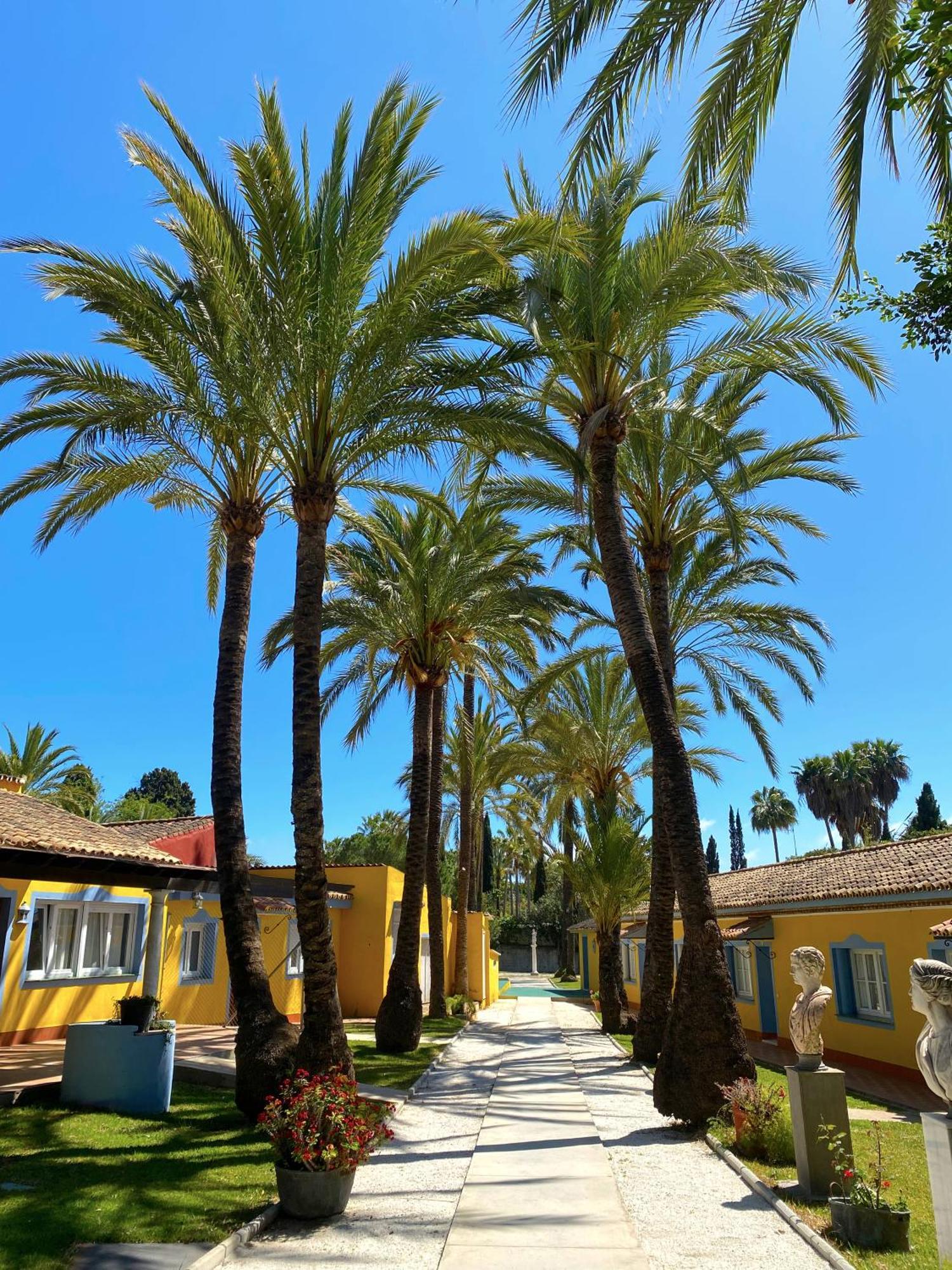 Cortijo La Saleta Banus Apartment Marbella Ngoại thất bức ảnh