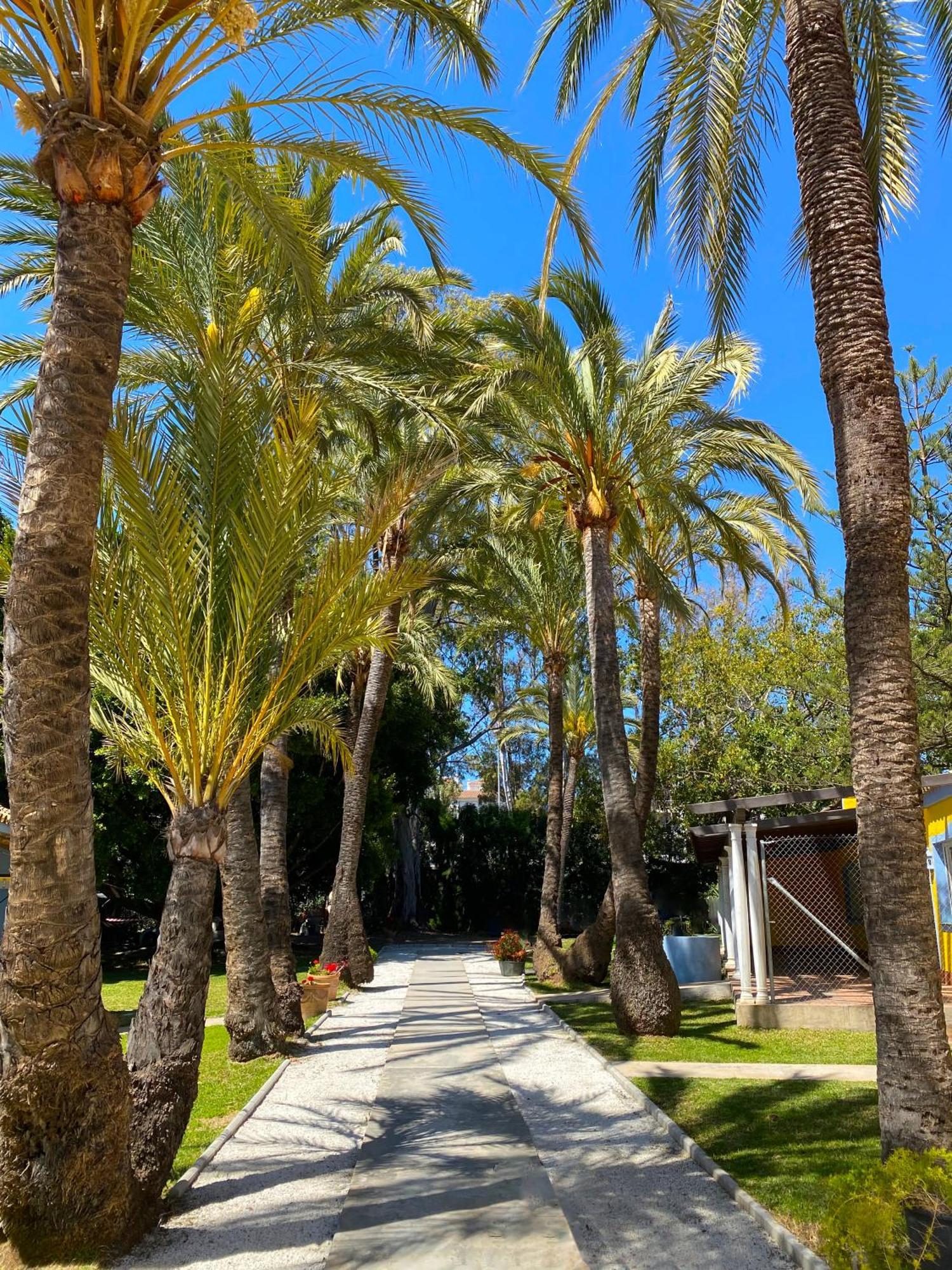 Cortijo La Saleta Banus Apartment Marbella Ngoại thất bức ảnh